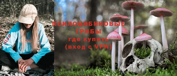 ешки Пролетарск