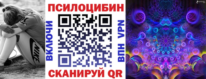 Псилоцибиновые грибы Cubensis  Бобров 